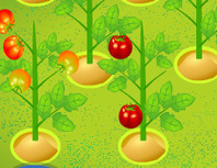 Ledelsen-spillet-til-en-ketchup-fabrikk